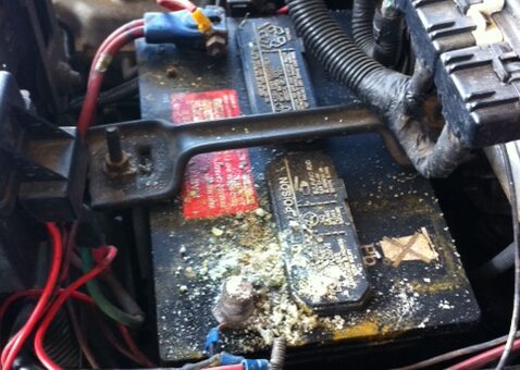 Stock Jeep Battery